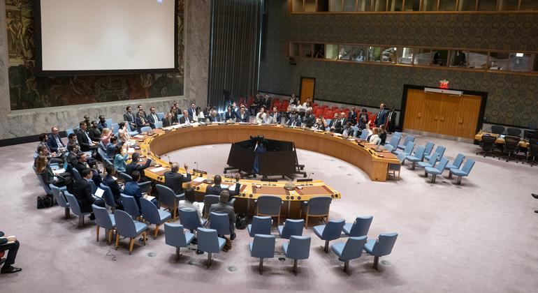 ONU pede ao Conselho de Segurança mais apoio para papel crucial de suas operações de paz