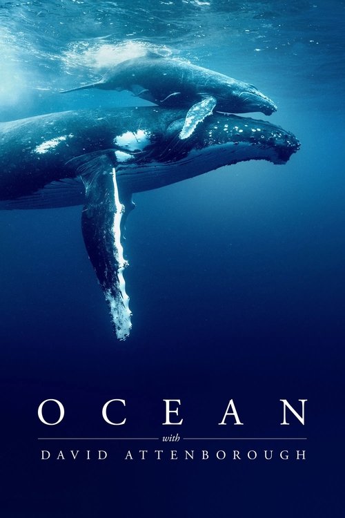 Oceano com David Attenborough – Resenhas de filmes. Cobertura da TV. Reboques. Festivais de cinema.