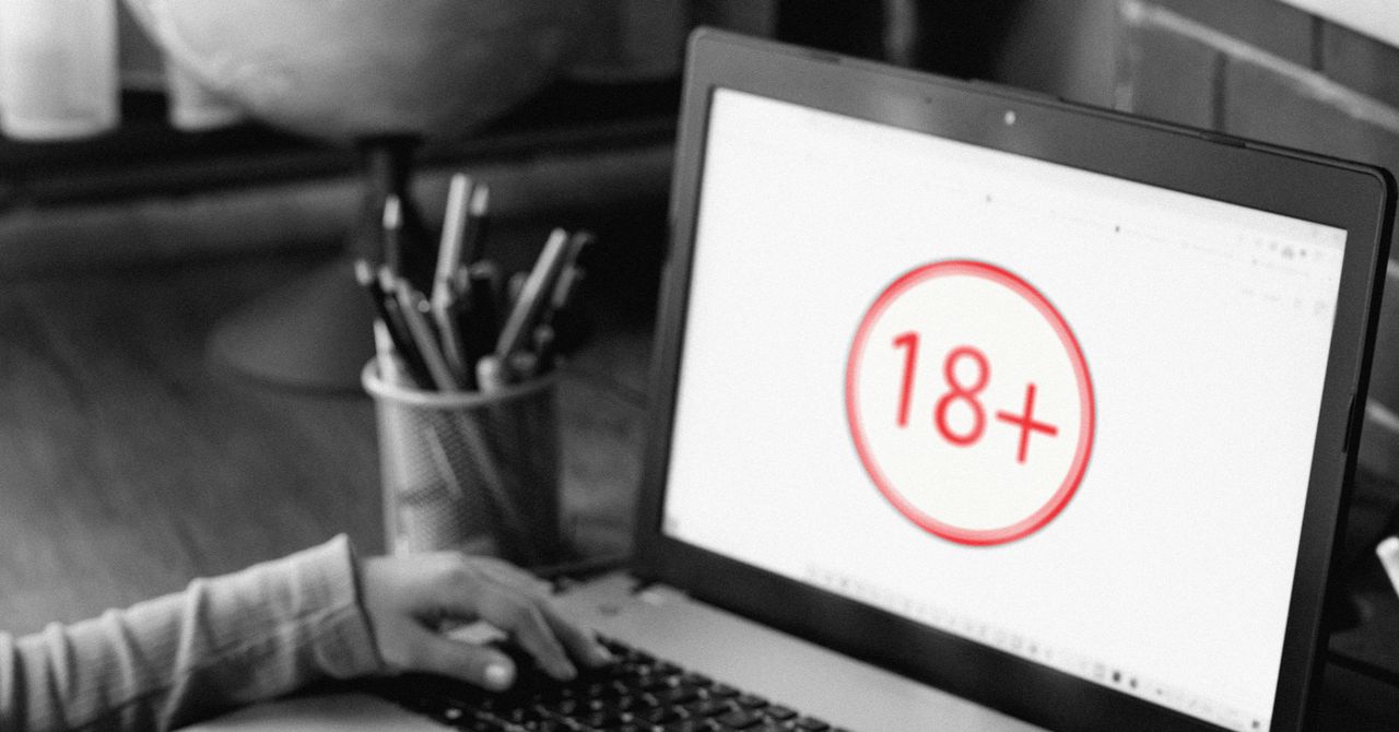 A internet verificada por idade chegou