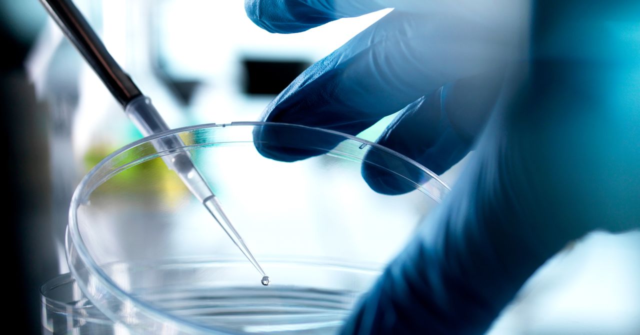 Florida agora é um paraíso para tratamentos de células-tronco não comprovadas