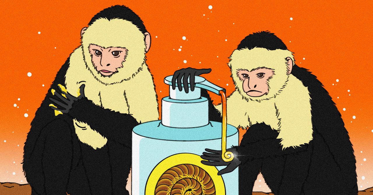 Animais são os influenciadores originais do bem -estar