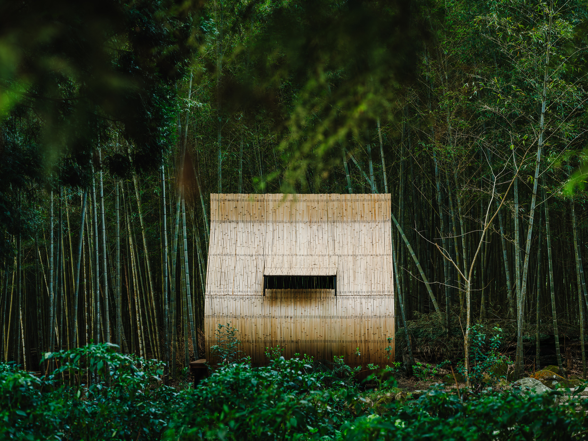 Plano de cabine de bambu: bolinho de arroz pegajoso / Cheng Tsung Feng Design Studio