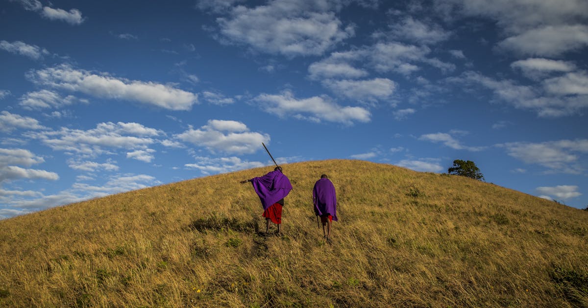 3 maneiras pelas quais o conhecimento indígena protege a natureza