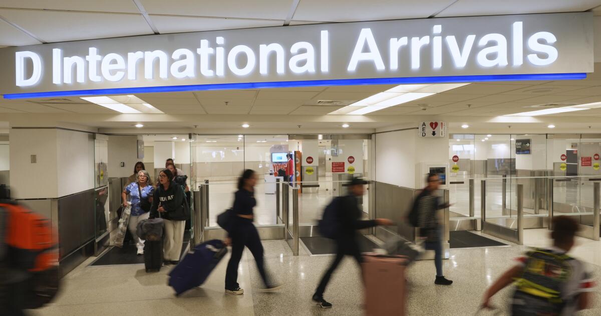 ‘Você é da Califórnia?’ Conselheiro político disse que foi detido no aeroporto depois de confirmar que é de LA