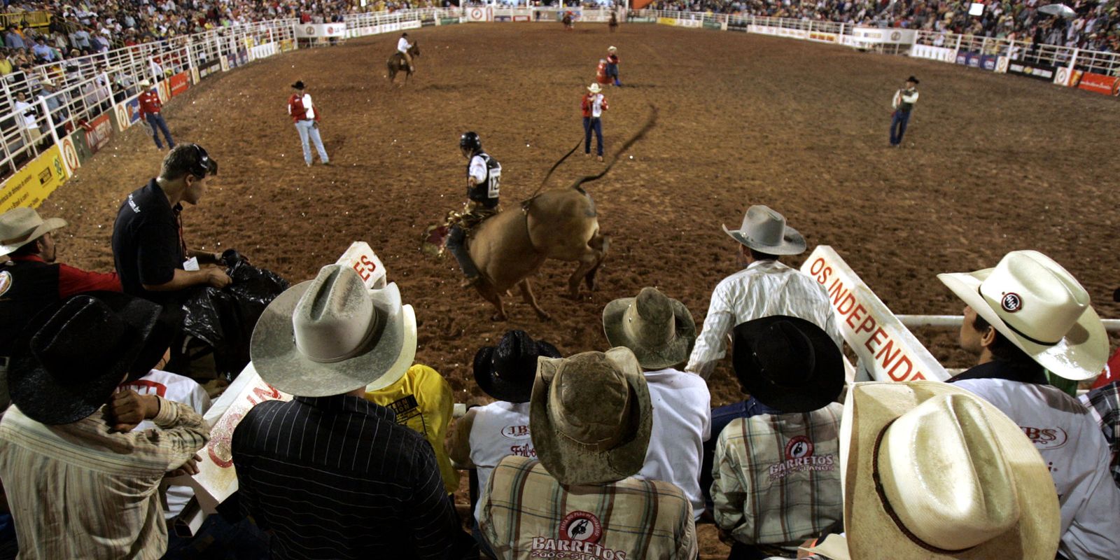 Festa do Peão de Barretos reúne shows e rodeios até 31 de agosto