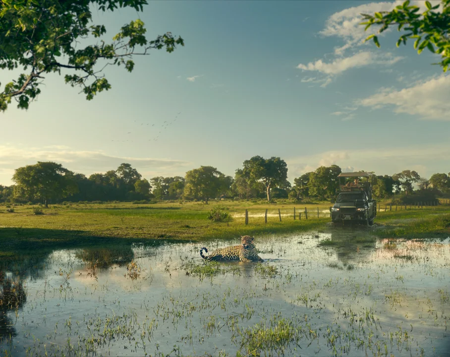 Imprensa internacional destaca plataforma da Embratur como ferramenta para promover o ecoturismo no Brasil