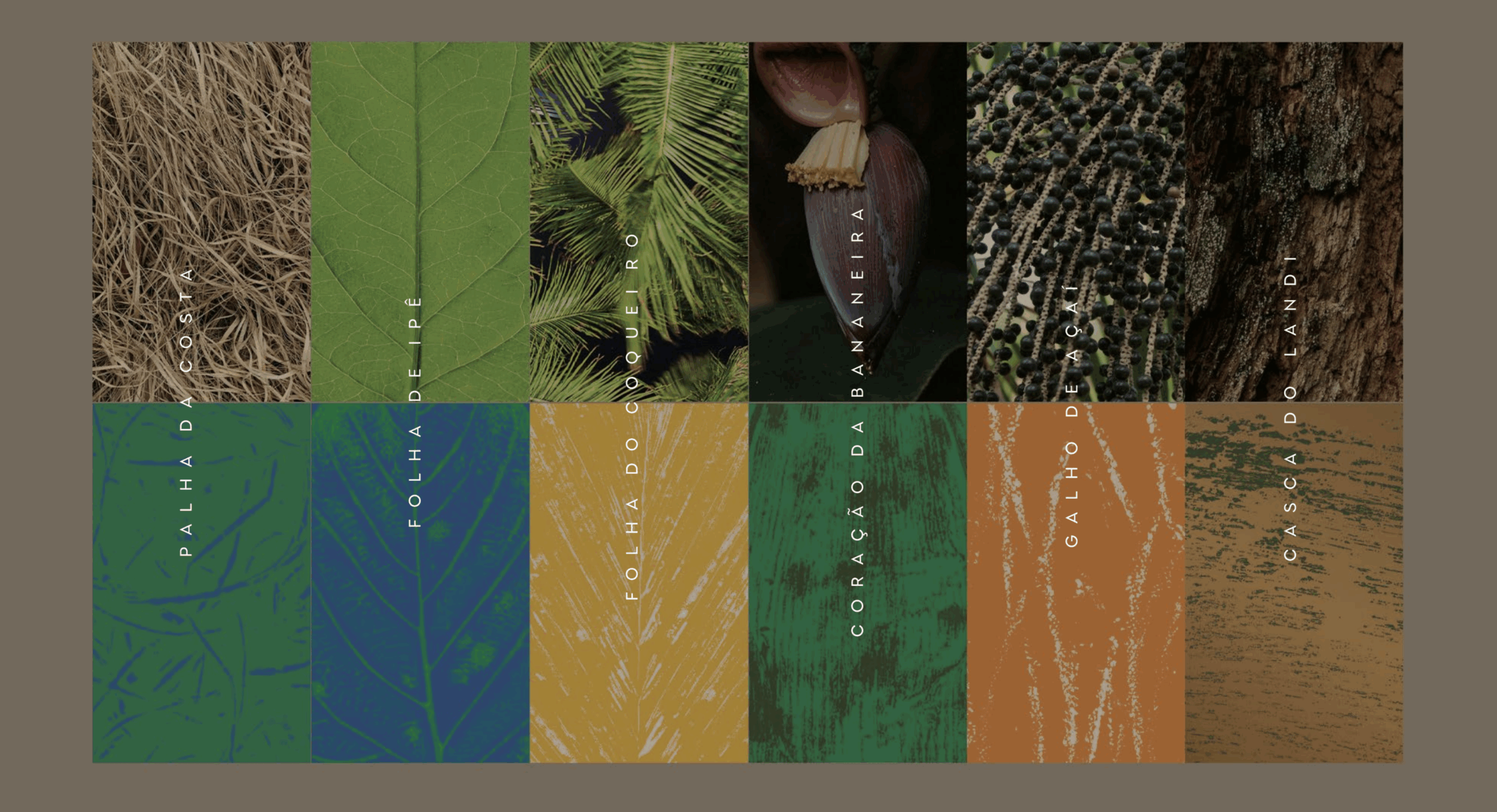 Inspirada na biodiversidade e cultura brasileira, Embratur lança nova identidade visual no Salão Nacional do Turismo 2025