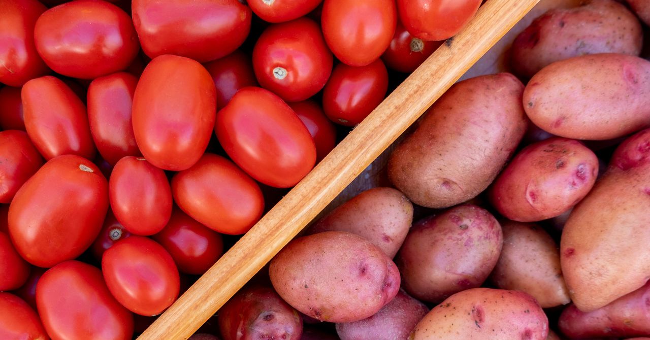 A ciência revela as origens surpreendentes da batata