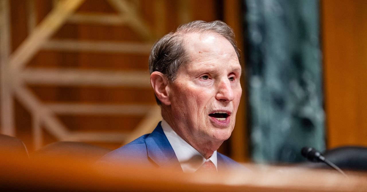 O senador dos EUA exorta o DHS a investigar se os agentes foram transferidos de casos criminais para deportações