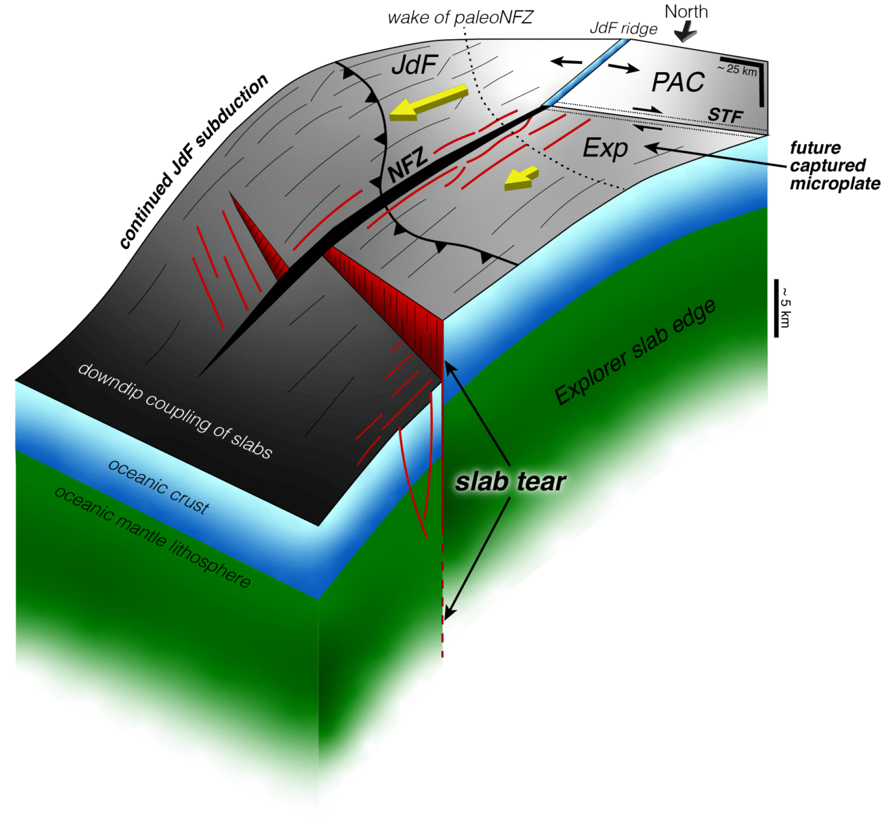 A crosta da Terra está destruindo o noroeste do Pacífico – e isso não é necessariamente más notícias – Estado do planeta