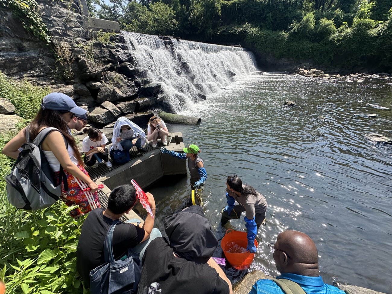 Explorando ecossistemas essenciais para um futuro urbano próspero – Estado do planeta