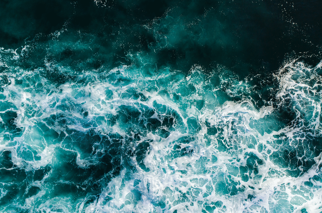 A pia do carbono oceânica está doente – estado do planeta