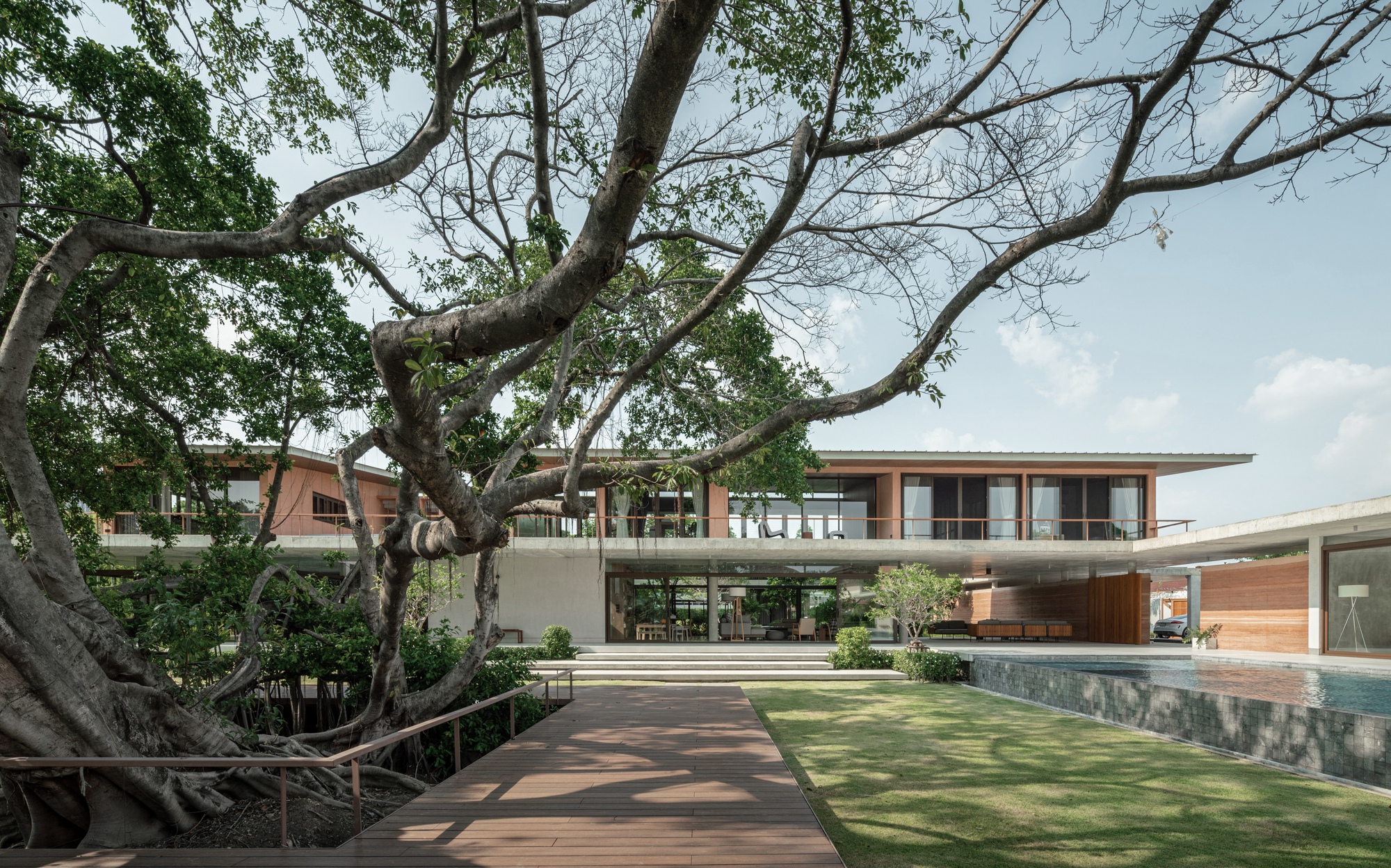 Banyan Tree House / Anony