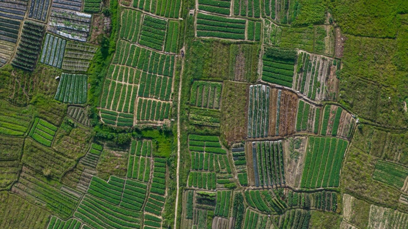 O New Eat-Lancet Report é um roteiro sustentável de sistemas alimentares-estado do planeta