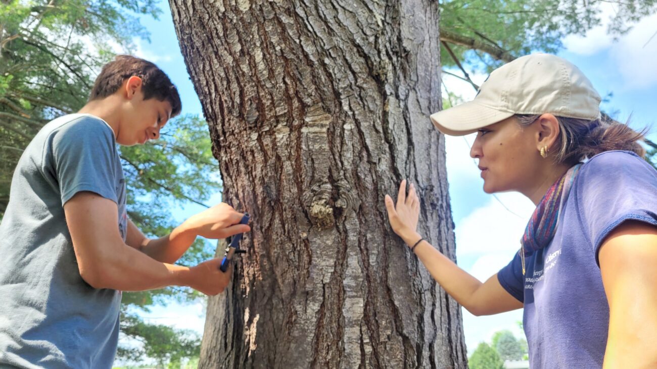 Descubra as sessões Climate LIVE K12 para 2025-2026 – Estado do Planeta