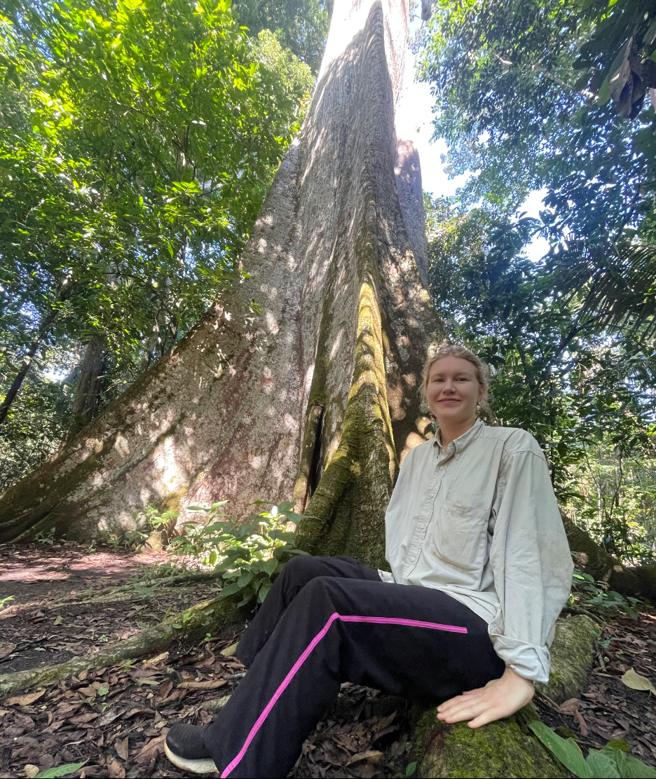 Um novo estudo indica que a regeneração florestal proporciona benefícios climáticos, mas não compensa os combustíveis fósseis – Estado do Planeta