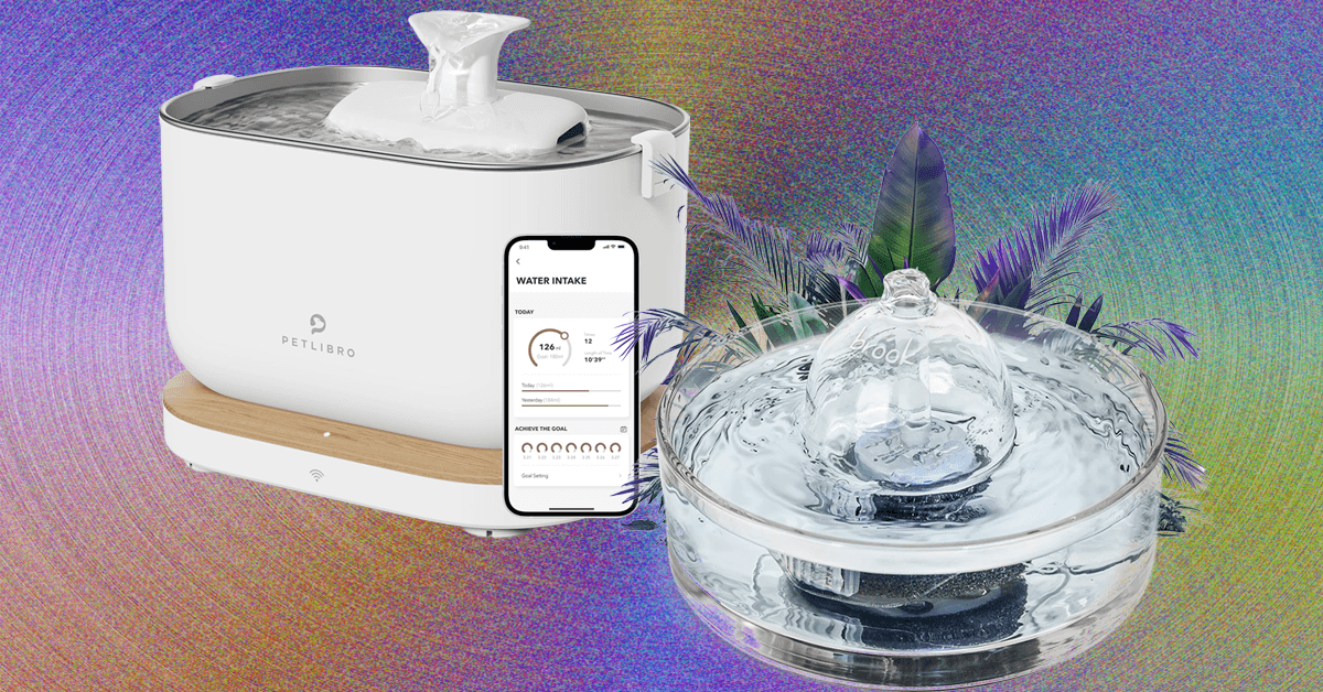 9 melhores fontes de água para gatos, testadas e revisadas pela WIRED (2025)