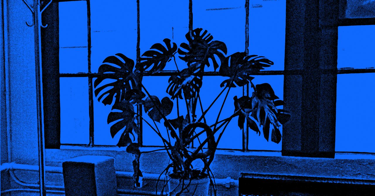 O argumento para deixar a IA queimar tudo