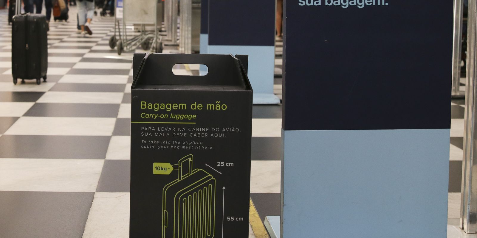 Senado aprova gratuidade para bagagem de mão em vôos 