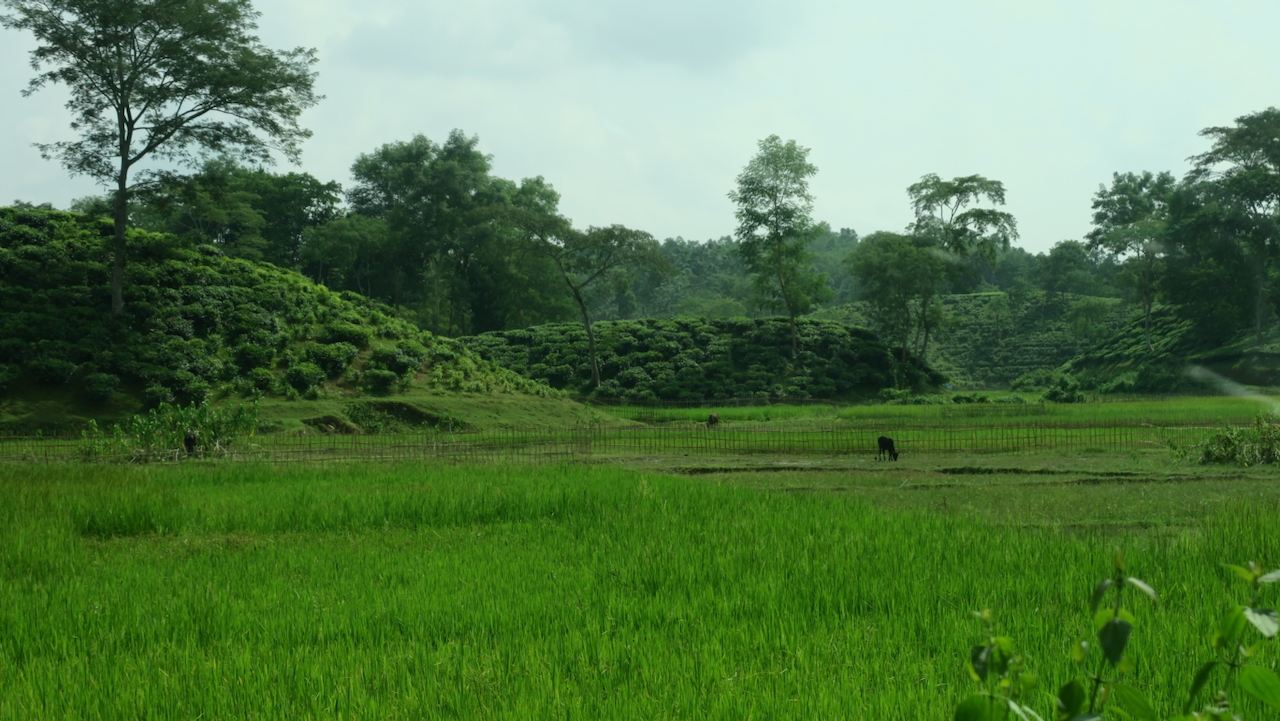 Reparando Sistemas Globais de Navegação por Satélite na Terra do Chá – Estado do Planeta