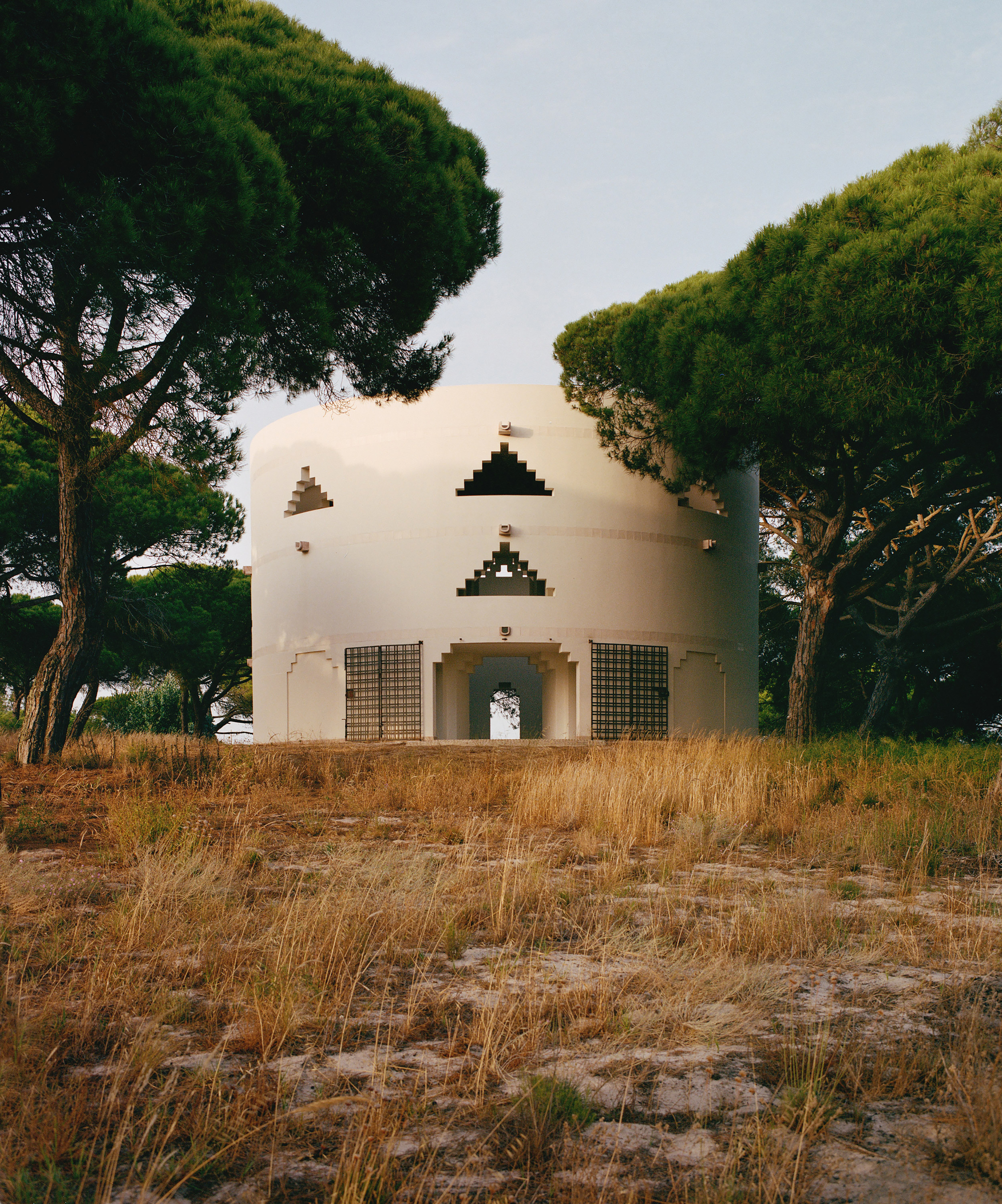 A Loucura / Tarek Shamma