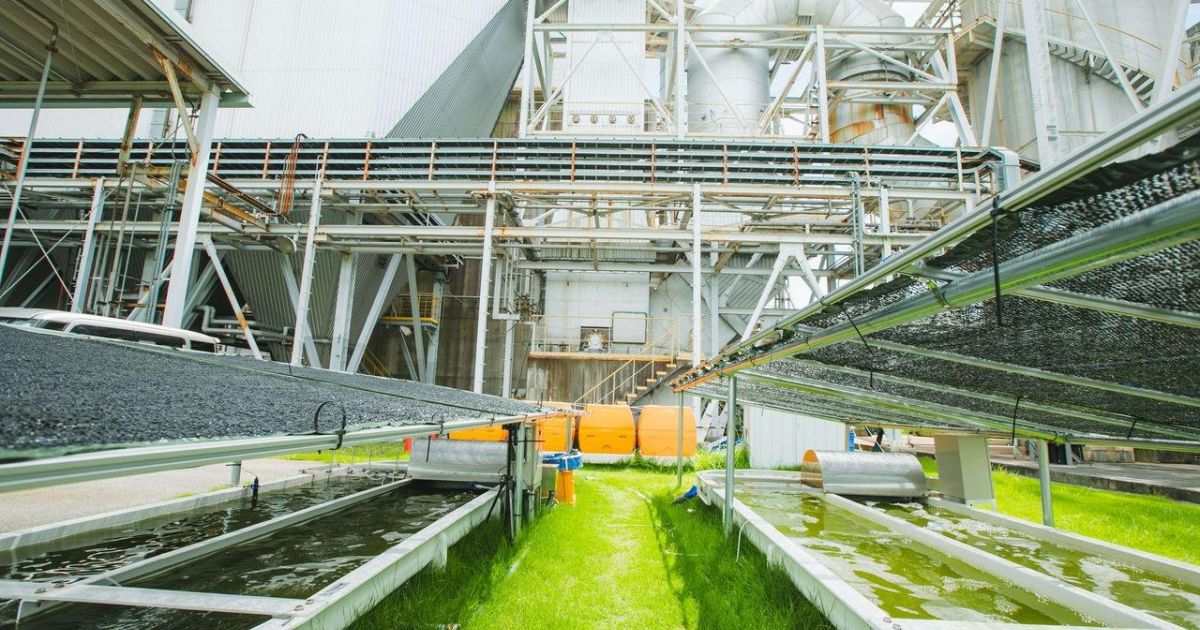 Mazda apoia biocombustíveis à base de algas como caminho para automobilismo negativo em carbono