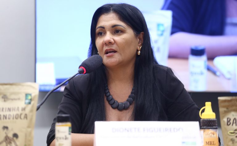 Comissão colhe sugestões para a criação da Política Nacional de Bioeconomia – Notícias