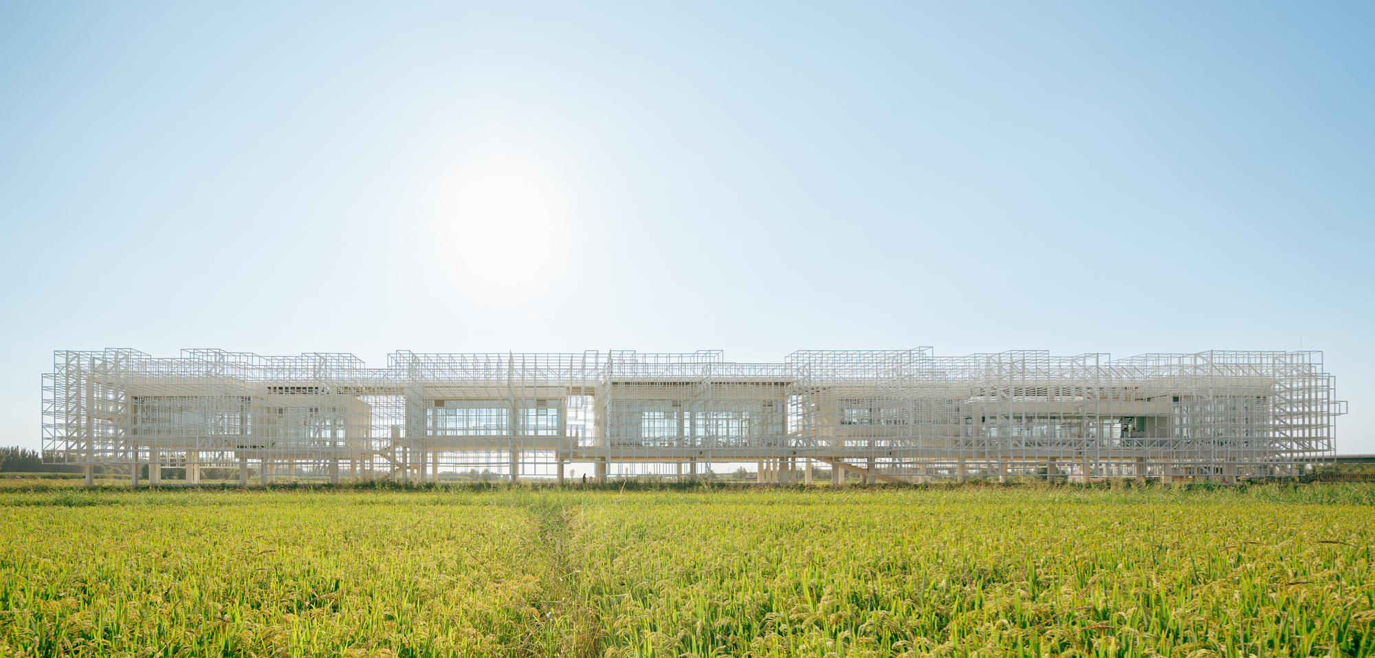 Manor Mirage / BUZZ / Escritório Ziyu Zhuang