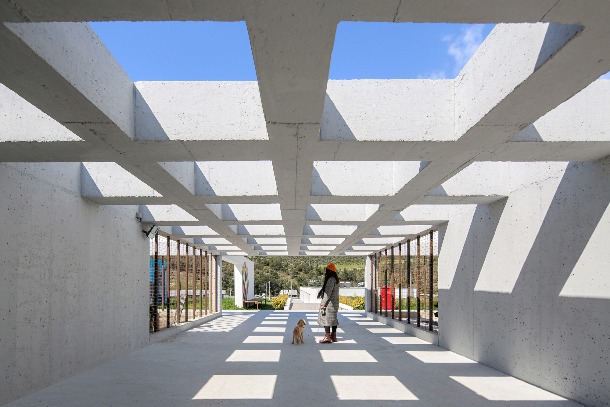 Campus de Vida Social Animal da Rua Pako / Arquitetura Mert Uslu