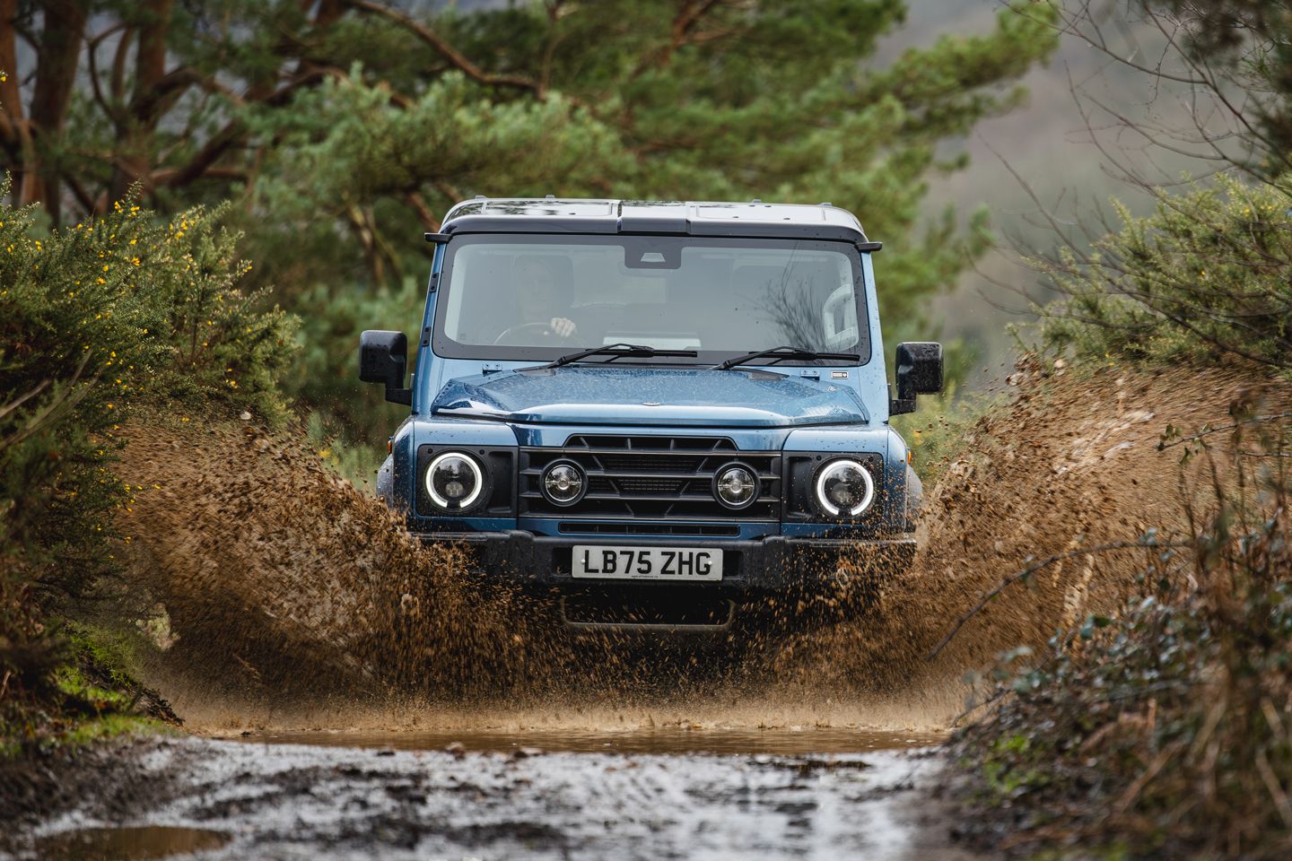 Granadeiro Ineos 2026 | Revisão de pH