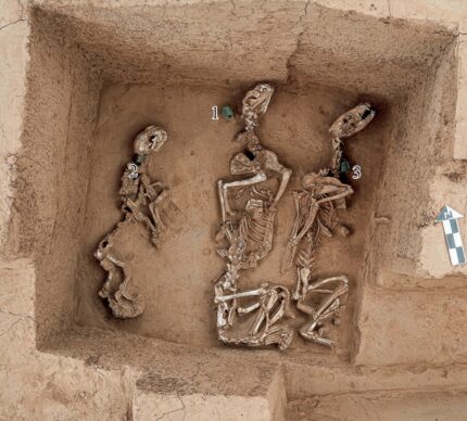 Zoológico real de 3.000 anos encontrado na China – The History Blog