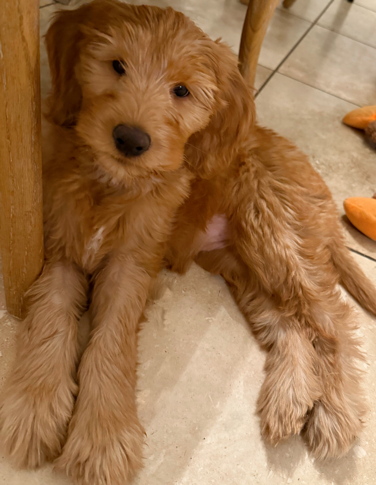 1.9 Favoritos de sexta-feira – The Fitnessista