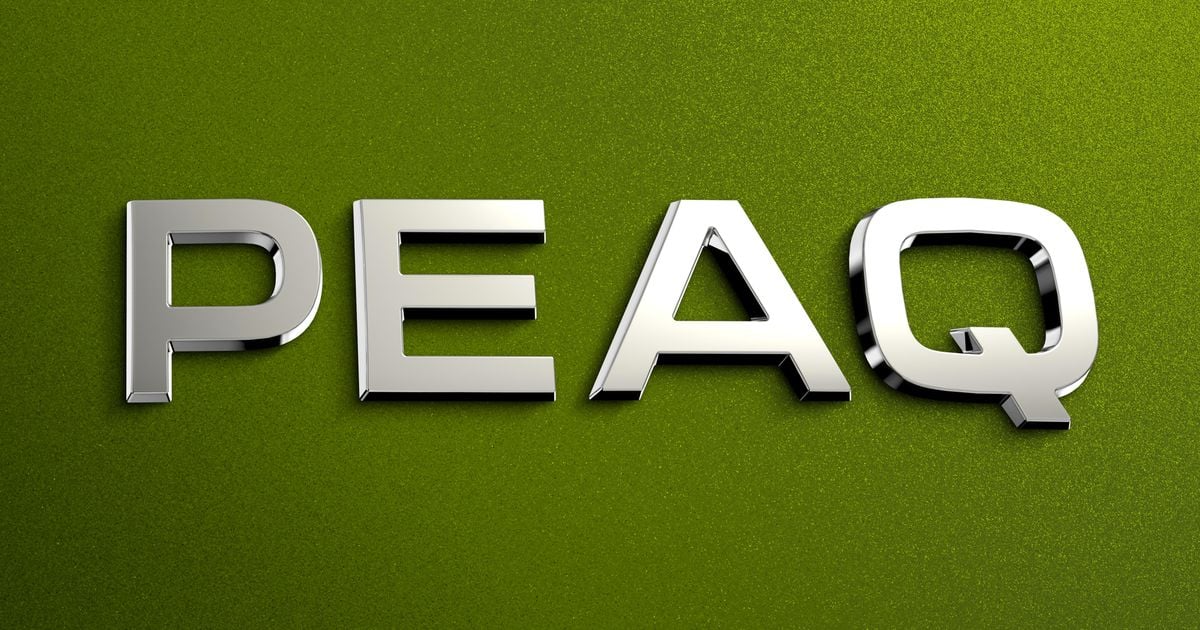 2027 Skoda Peaq: próximo carro-chefe EV nomeado