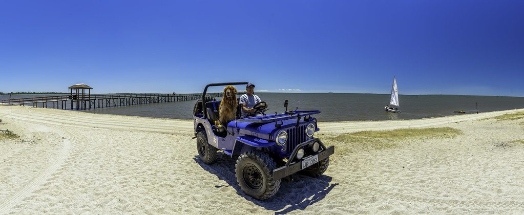 Rio Grande do Sul lidera chegada de turistas internacionais em janeiro de 2026