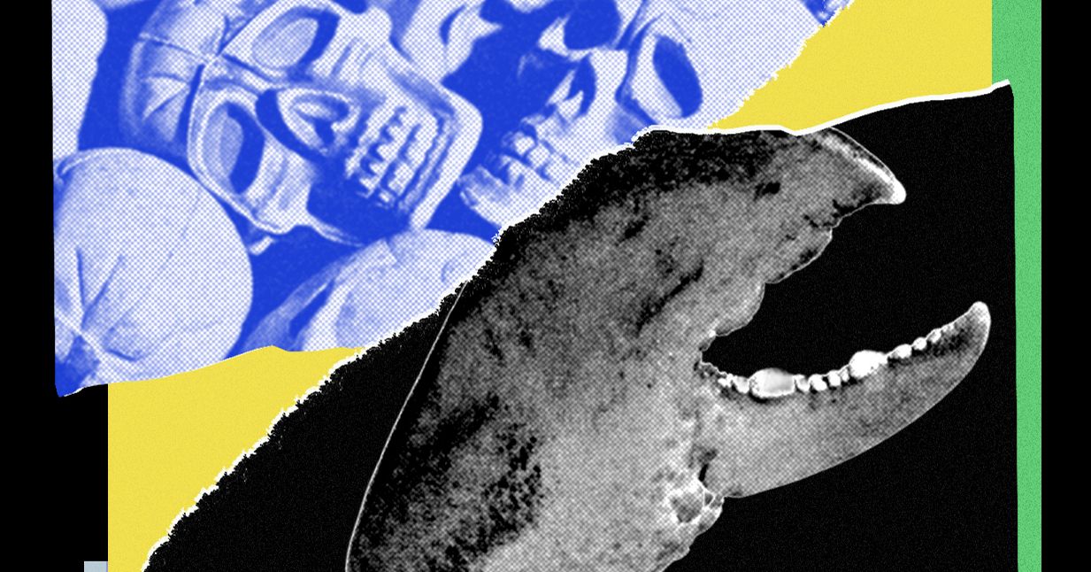 Adorei meu agente OpenClaw AI – até que ele se voltou contra mim