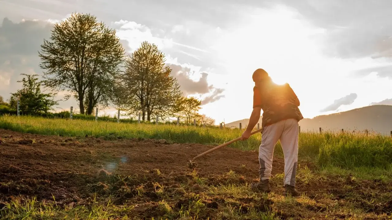 O que fazer agora para um solo saudável