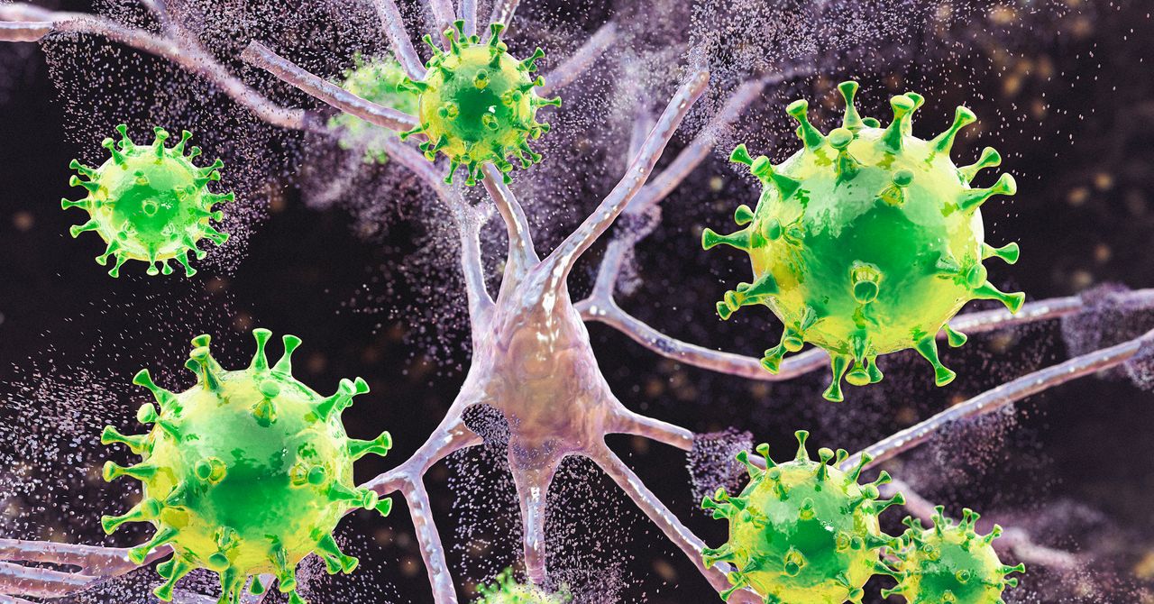 Sarampo está causando inchaço cerebral em crianças na Carolina do Sul