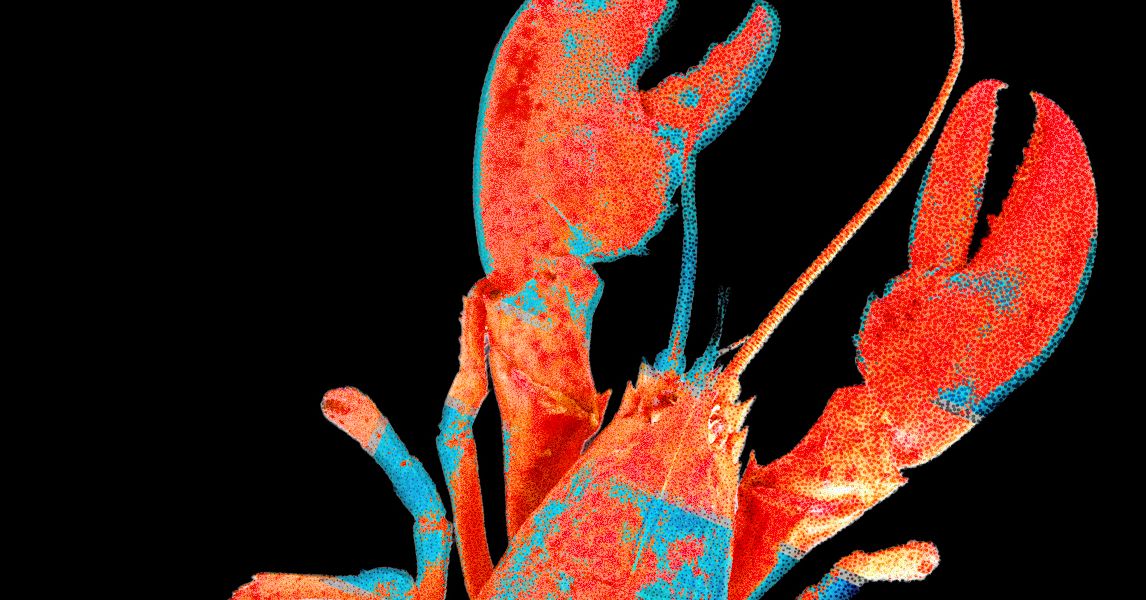 Moltbook, a rede social para agentes de IA, expôs dados de humanos reais