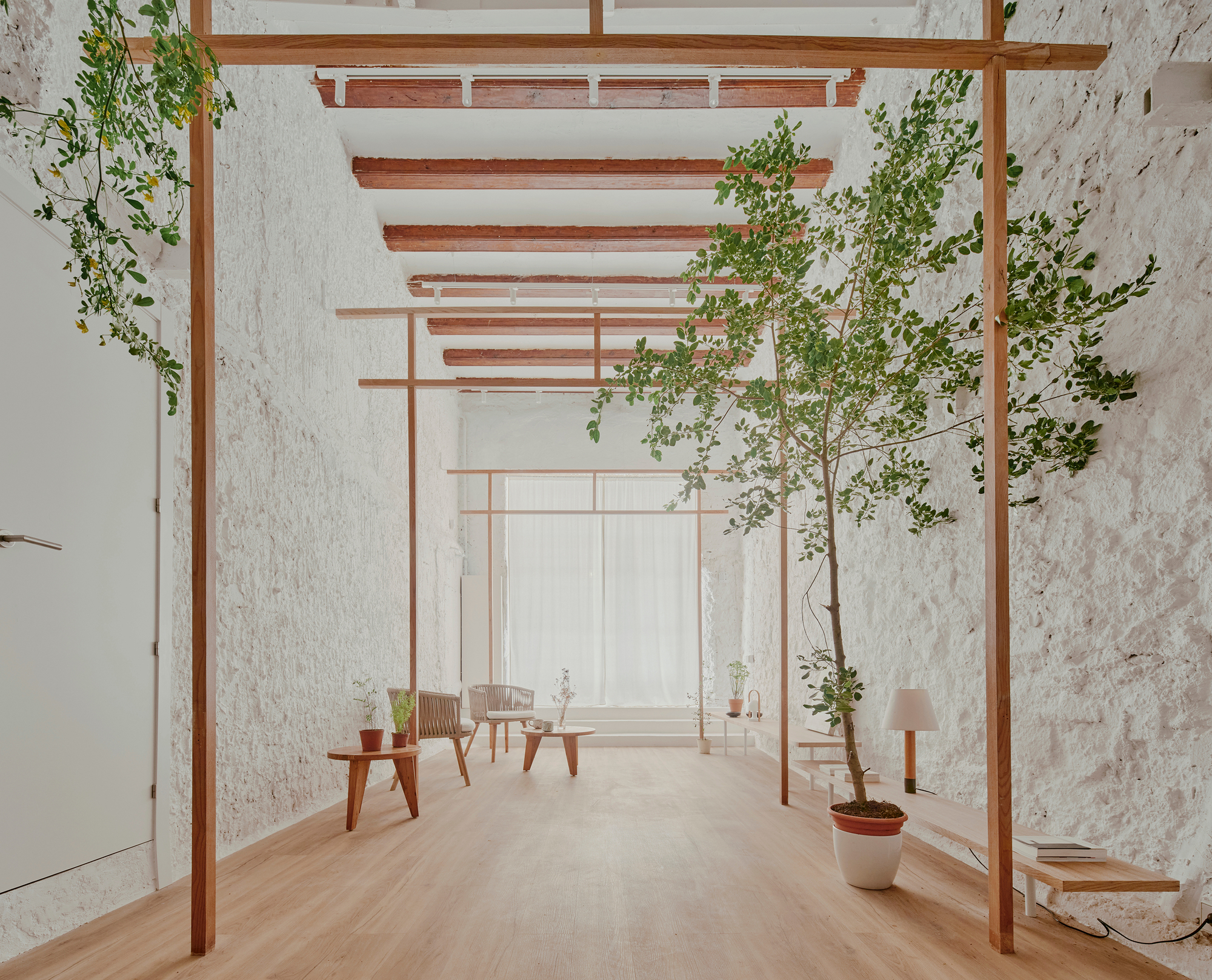 Loft El Born / Roman Izquierdo Bouldstridge