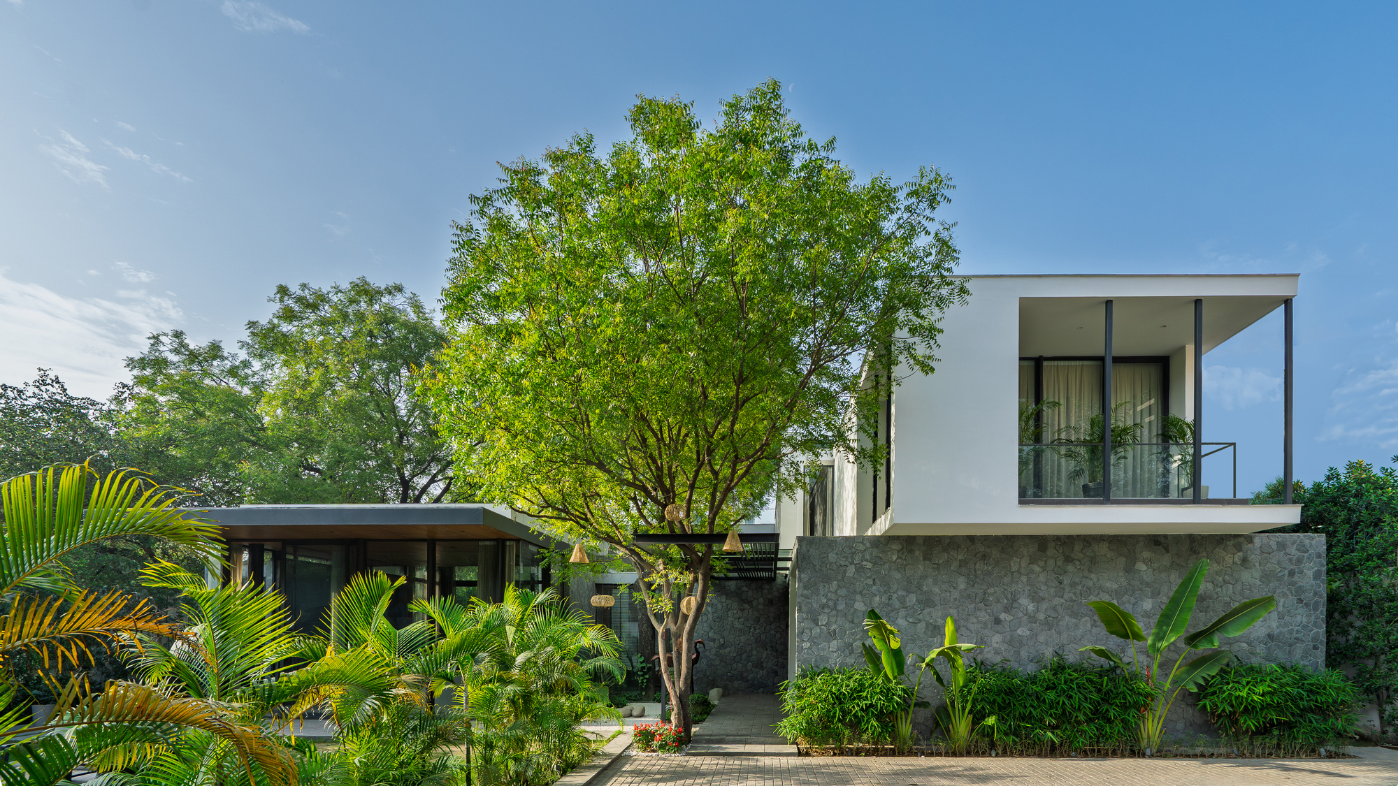Casa na Árvore Neem / Parceiros DADA