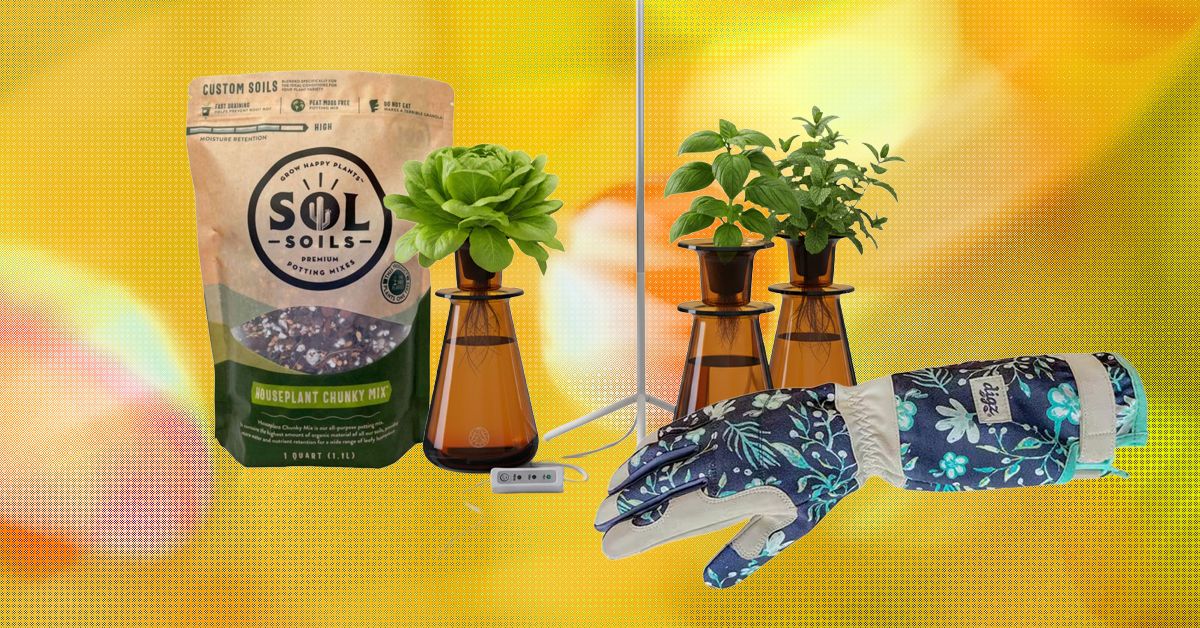 15 melhores presentes para amantes de plantas e jardineiros (2026)