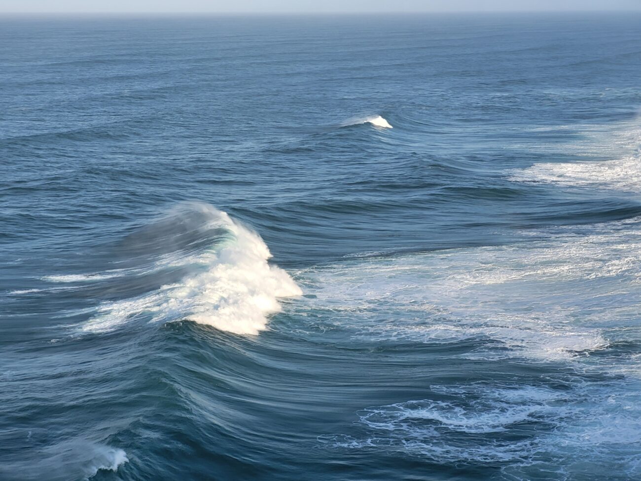 O Dia Mundial dos Oceanos reimagina a nossa relação com a água que nos rodeia – Estado do Planeta